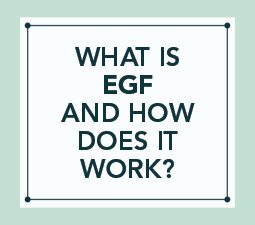 egf-feature-image