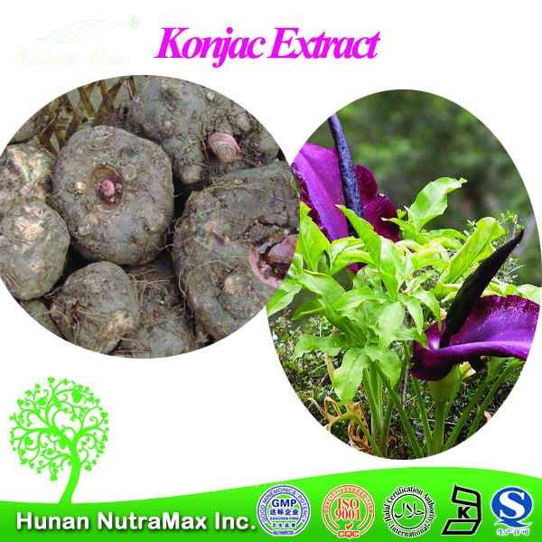 konjac-sponge-konjac-extract-plant