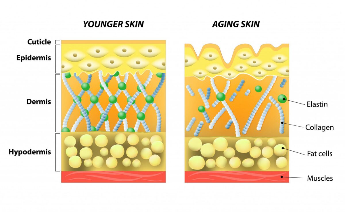 retinol-help-skin-layers-old-young