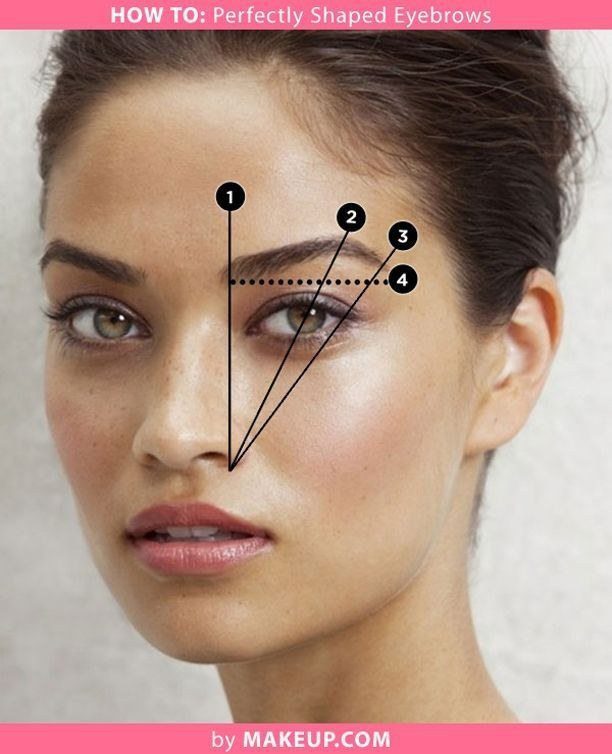 brow-diagram-for-creating-eyebrow-shape-for-perfect-shape