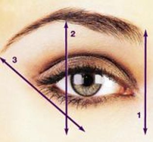 brows-to-measure-from-nose-to-get-hollwood0eyebrows