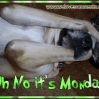 Oh No It's Monday