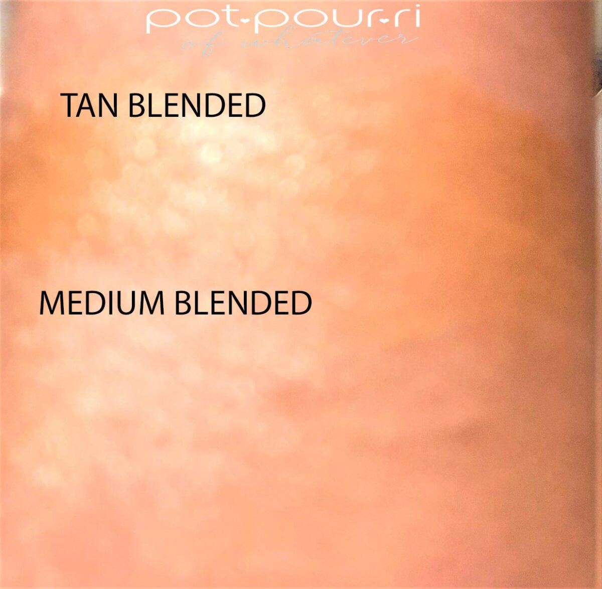 TAN AND MEDIUM HOLLYWOOD FLAWLESS FILTER SWATCHES