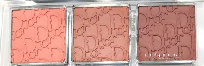 GLOSSES TOP ROW DIOR BACKSTAGE LIP PALETTE