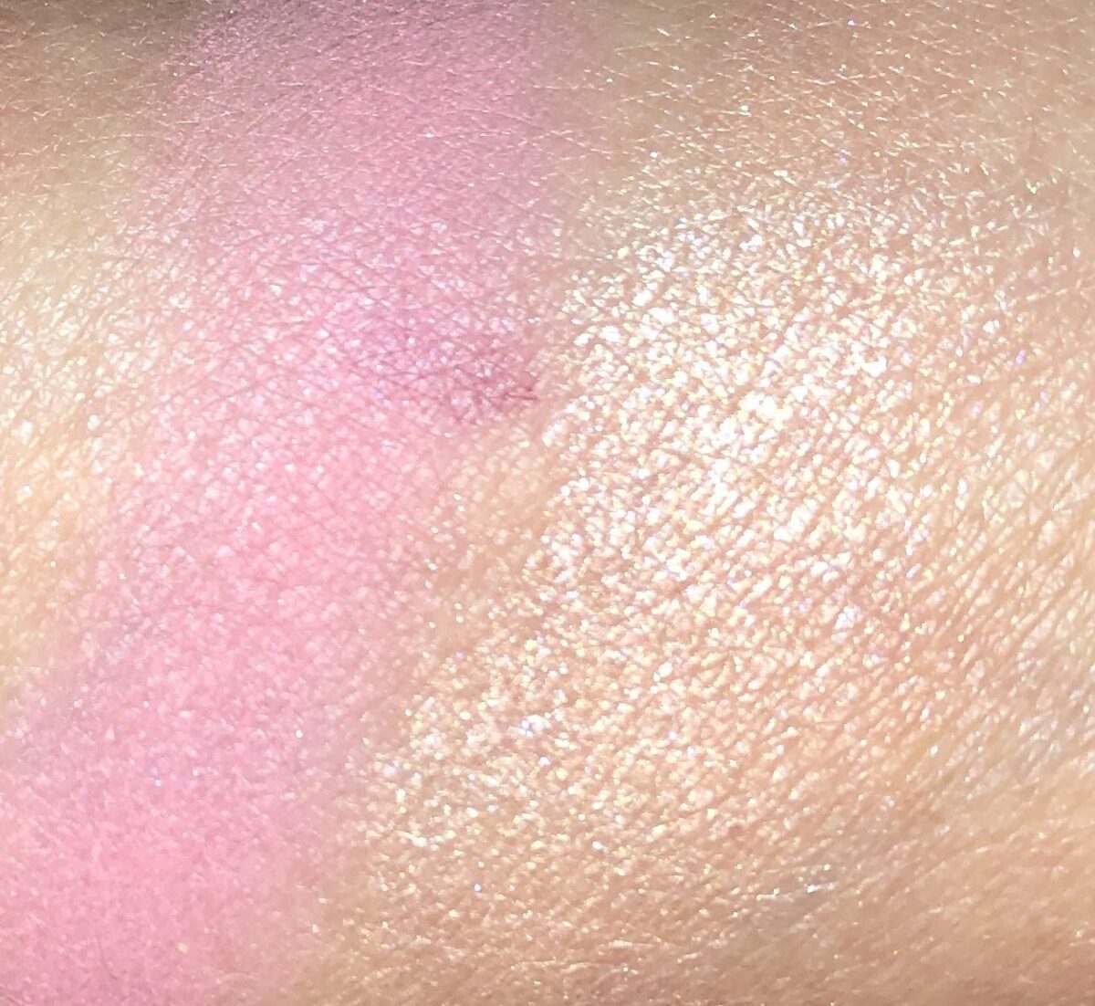 SWATCHES OF THE ROSE WHALE SHARK PALETTE