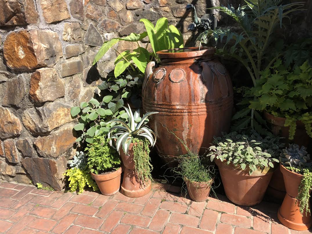 ASSORTED PLANTED POTS