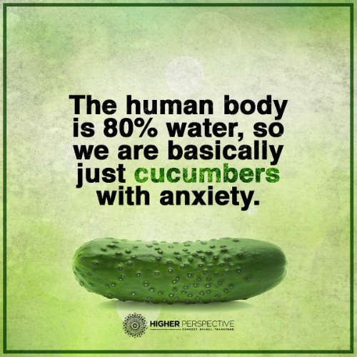 breathing-cucumbers-are-anxiety-ridden-humans