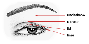 camera-eye-diagram