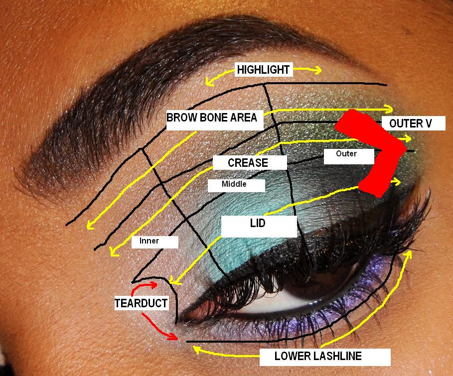 eye-shadow-tips-Eye Diagram 1