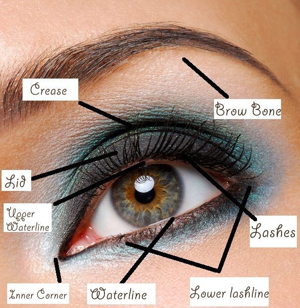 eye-shadow-tips-How-to-do-Smokey-Eye-for-Blue-Eyes
