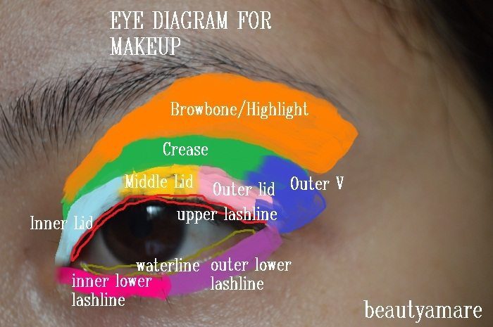 eye0shadow-tips-basic eye diagram