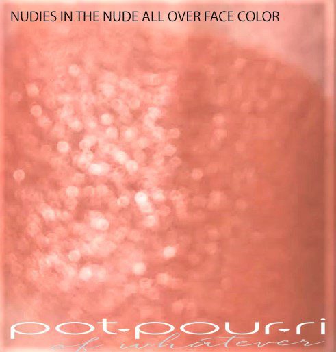 nudestix-nudies-all-over-face-color-neutral-nude-swatch